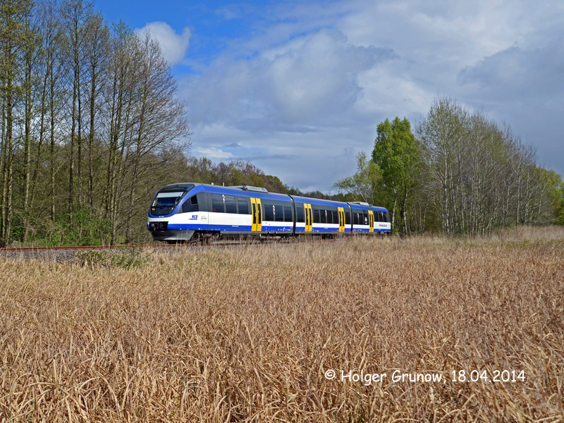 Heidekrautbahn Zwischen Basdorf Und Berlin-Wilhelmsruh